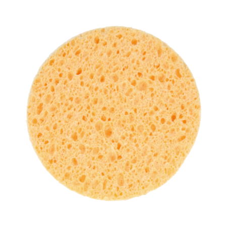 Tvättsvamp