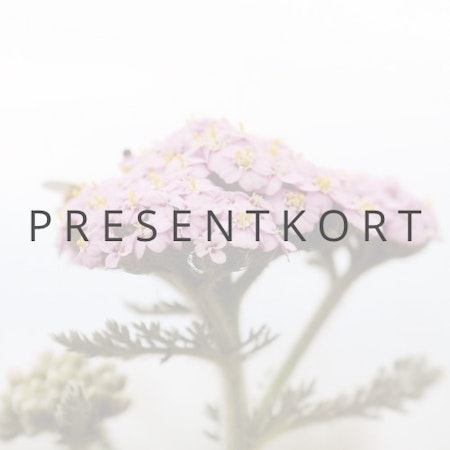 Köp Presentkort från