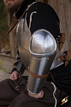 Enclosed Arm Protection - Polished Steel