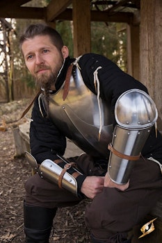 Enclosed Arm Protection - Polished Steel