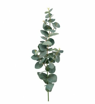 Eucalyptus 75cm