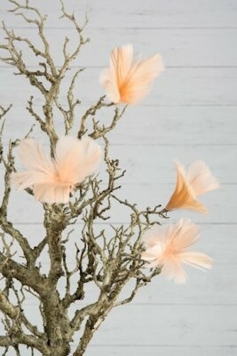 Fjädrar Blom på ståltråd 12-pack Aprikos