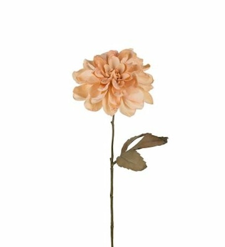 Dahlia 55cm Aprikos/Beige