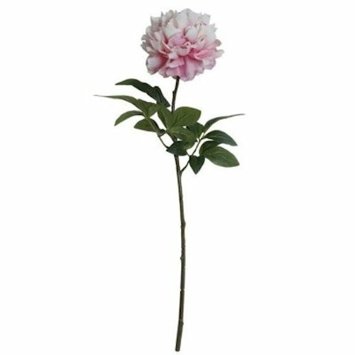 Hortensia/Kvist Rosa 70cm