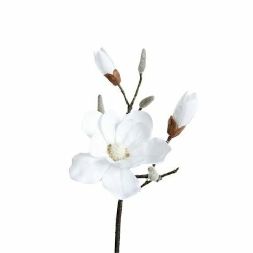 Vit Magnolia Kvist 70cm