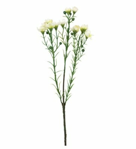 Vaxblomma Vit/Grön 40cm