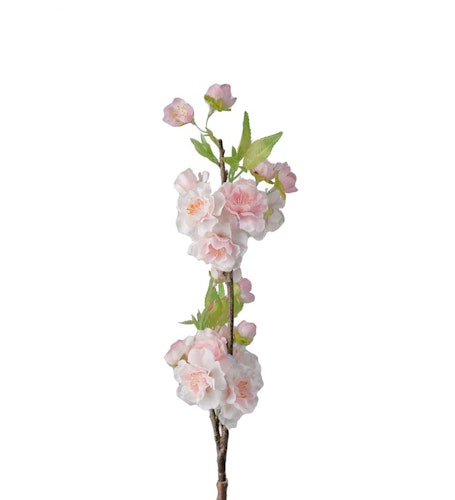 Rosa Körsbärsblomma 45cm