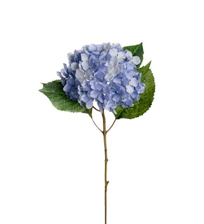 Blå Hortensia 40cm