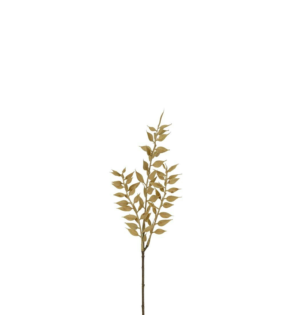 Ruscus 35cm