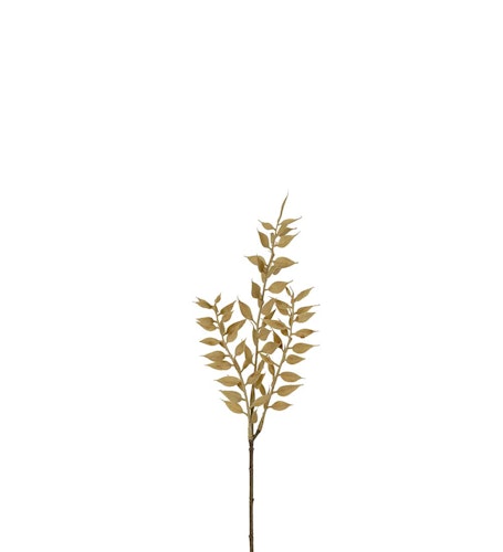 Ruscus 35cm