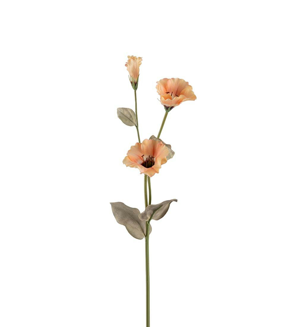 Prärieklocka 60cm