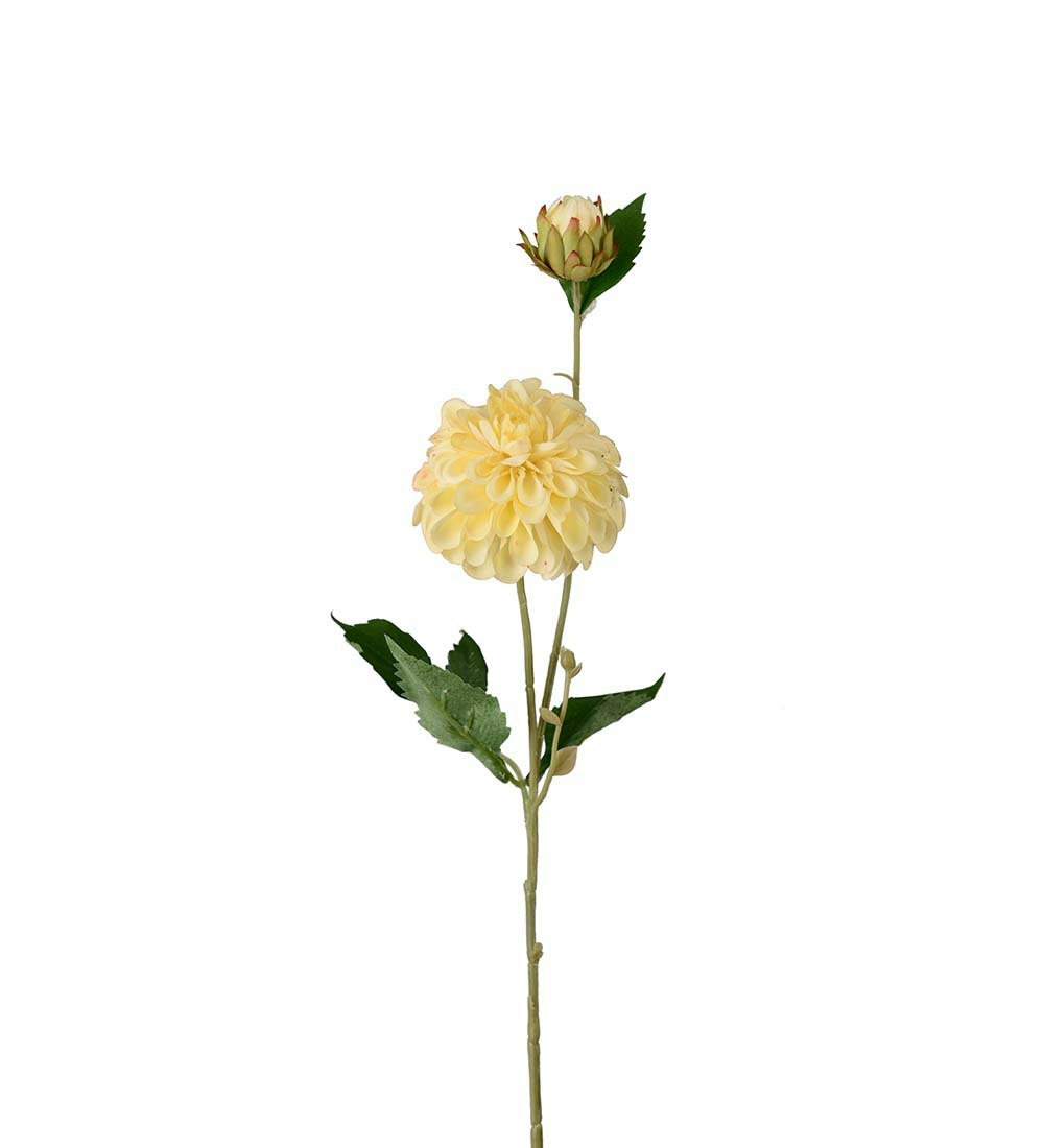 Dahlia 66cm