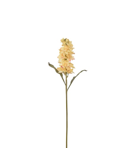 Lövkoja Gul 53cm