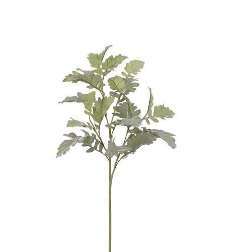 Silverek 70cm