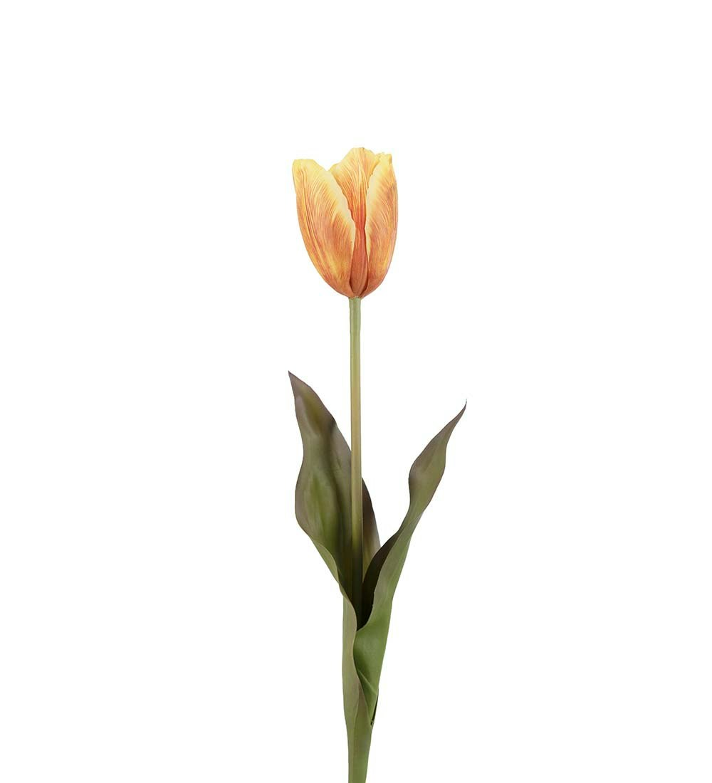Tulpan 58cm