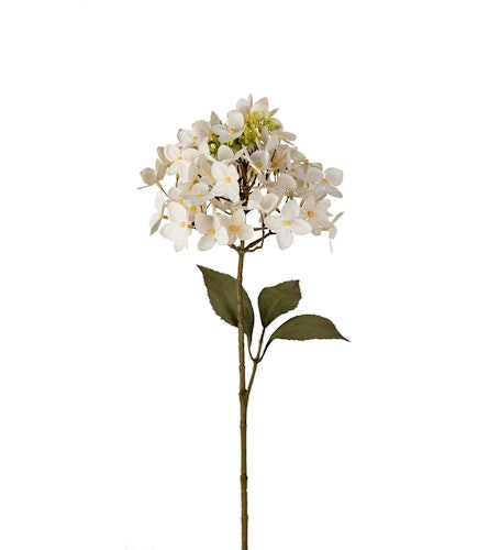Hortensia 65cm