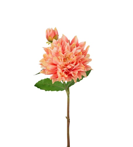 Real Touch Dahlia 70cm