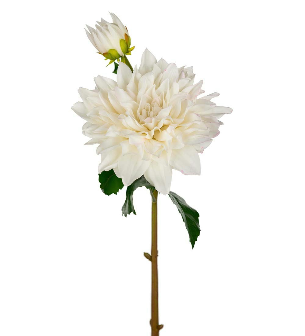 Real Touch Dahlia 70cm