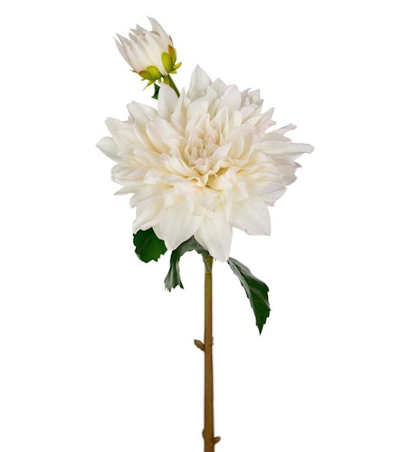 Real Touch Dahlia 70cm