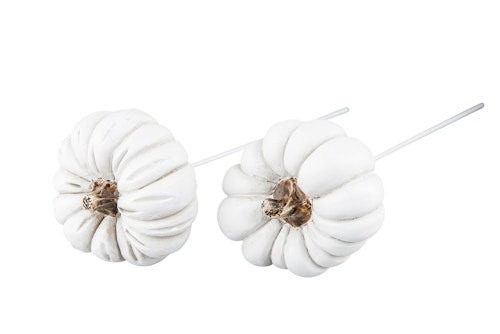 Pumpa Vit Stick 6cm