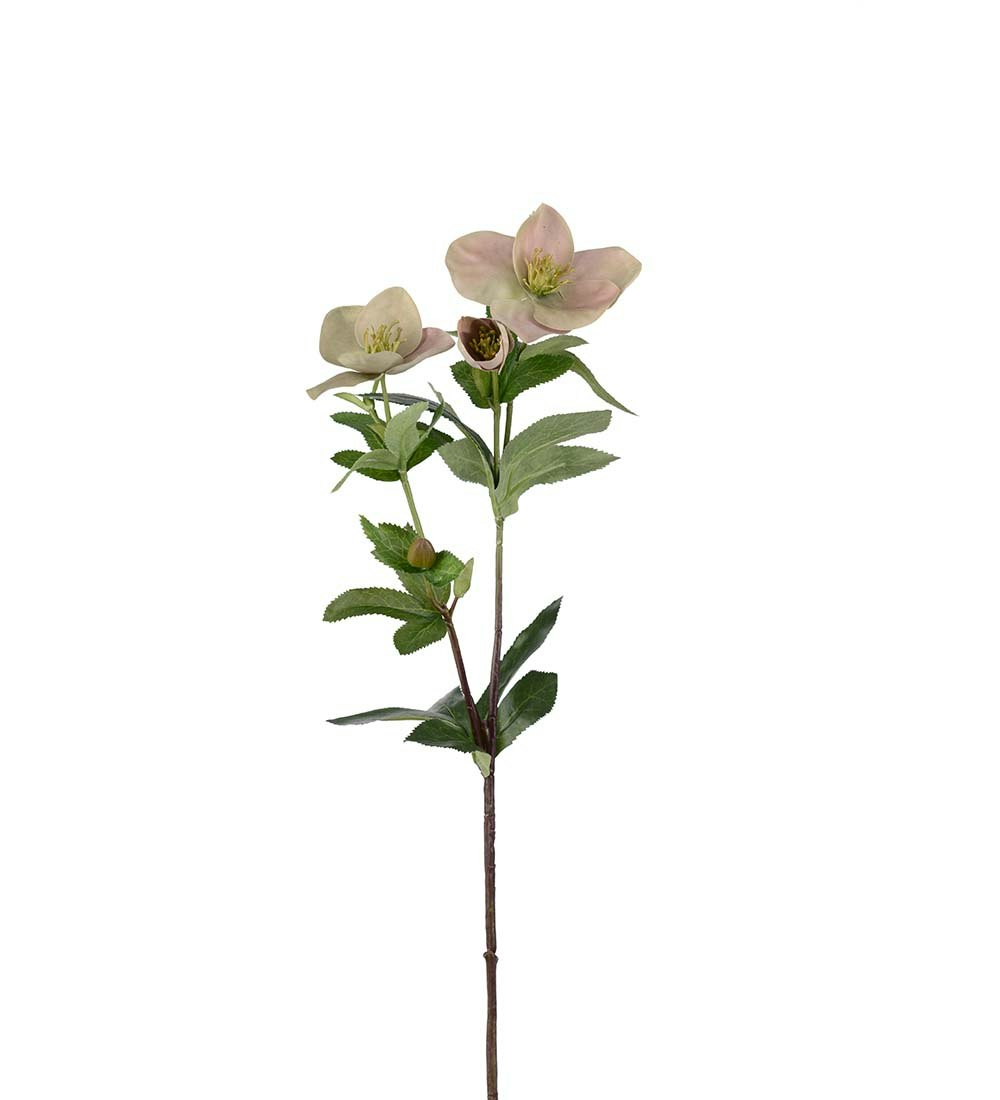 Julros 60cm
