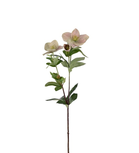 Julros 60cm