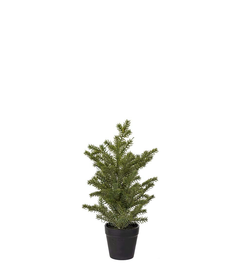 Gran i kruka 35cm