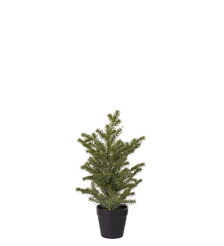 Gran i kruka 35cm