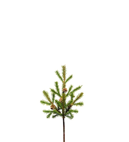 Grankvist med kottar 22cm