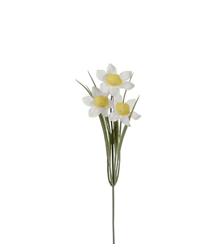 Narciss 27cm
