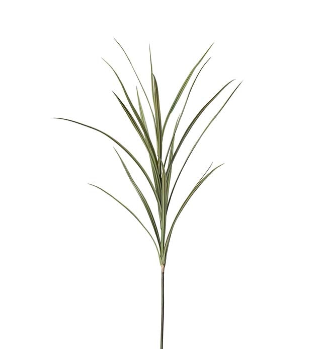 Gräs 110cm