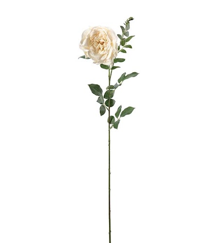 Ros 90cm "Real Touch"
