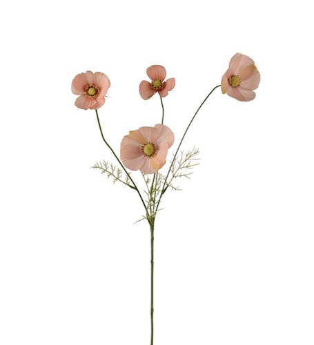 Rosenskära 60cm Aprikos