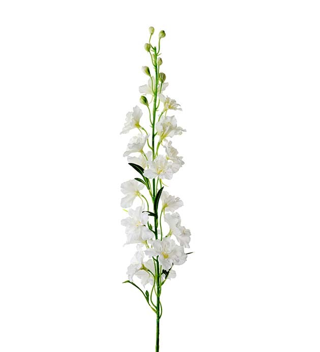 Delphinium 90cm Vit