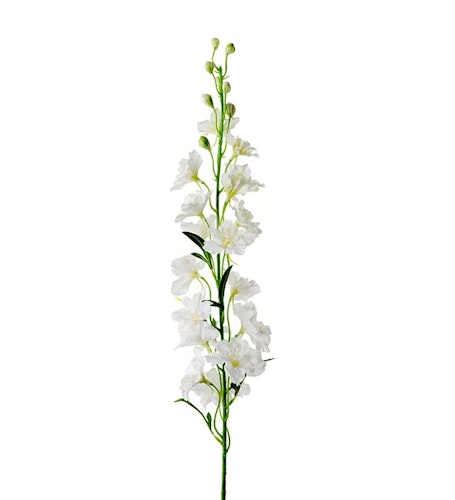 Delphinium 90cm Vit