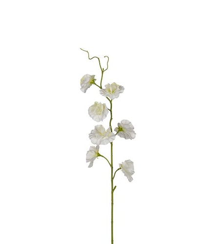 Luktärt Vit 55cm