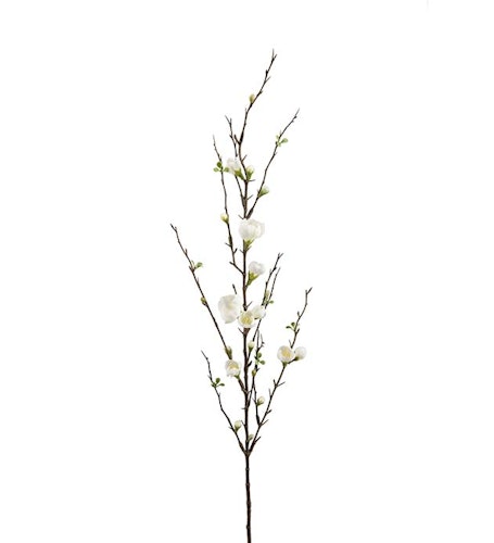 Äppelblom 90cm Vit