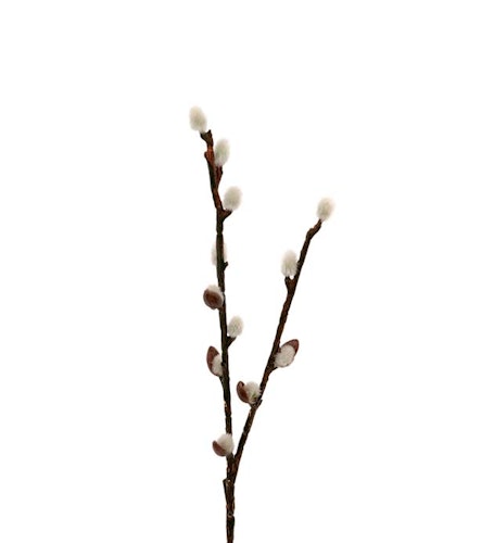 Vide 36cm