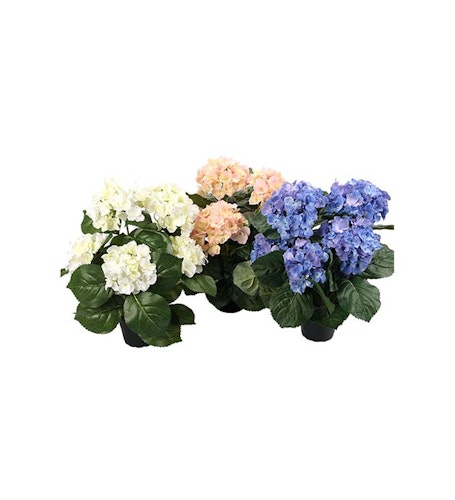 Hortensia 37cm