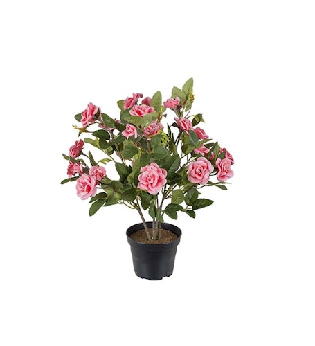 Ros Rosa 30cm