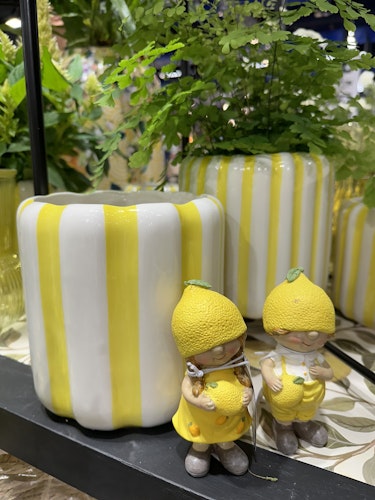 Citron barn
