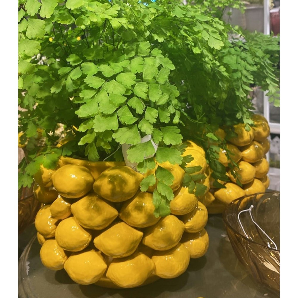 Citron Glaserad Kruka 24cm