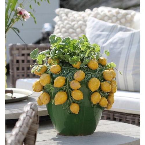 Citron Urna 36cm
