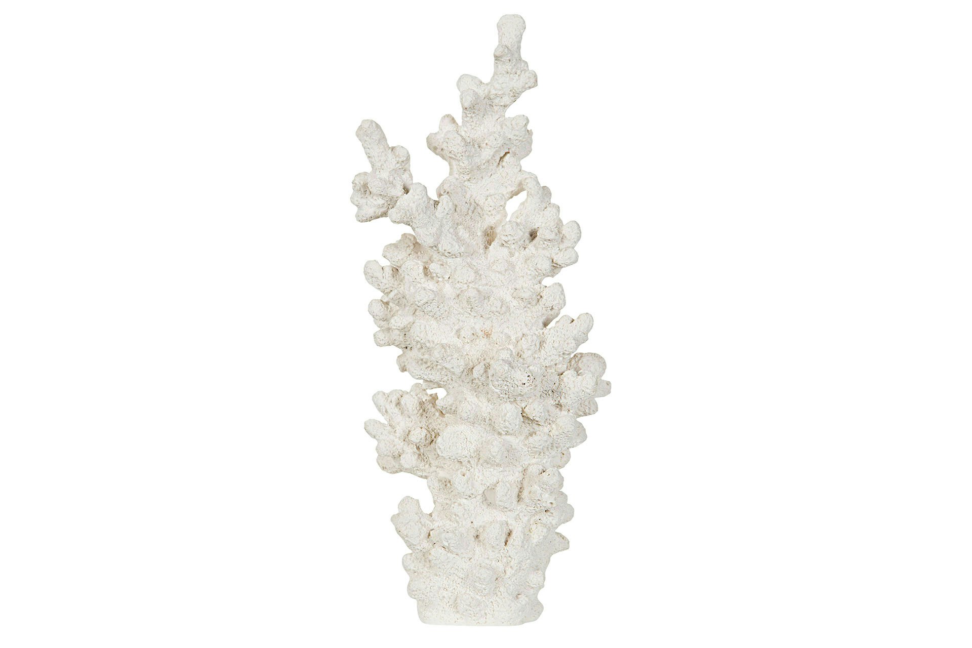 Korall 29cm