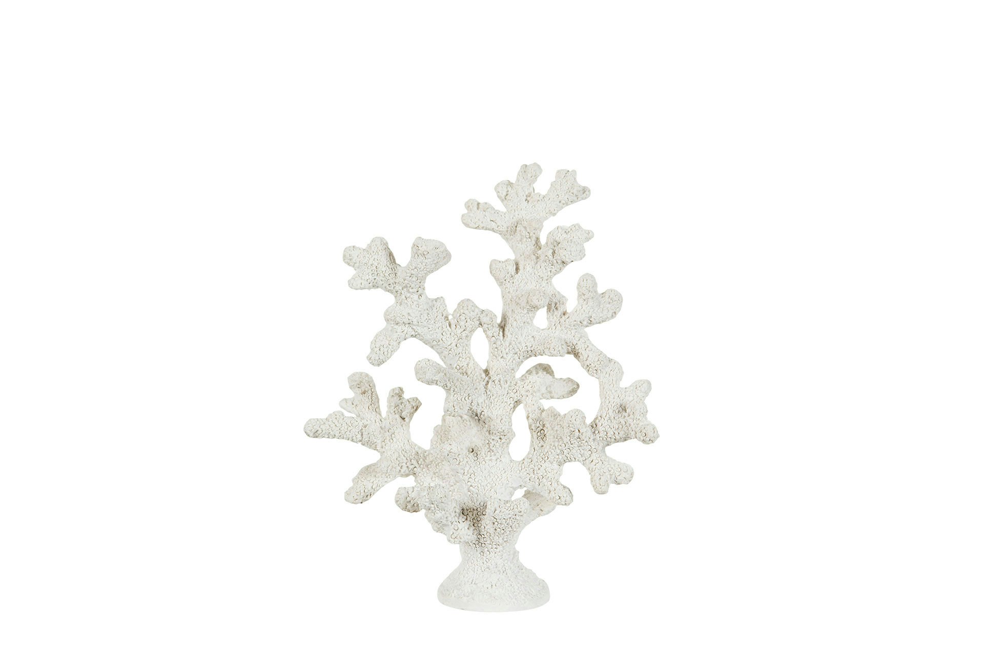 Korall 20cm