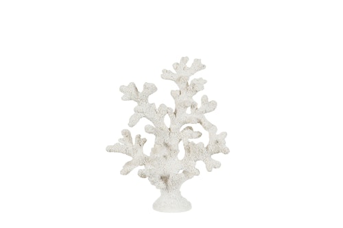 Korall 20cm