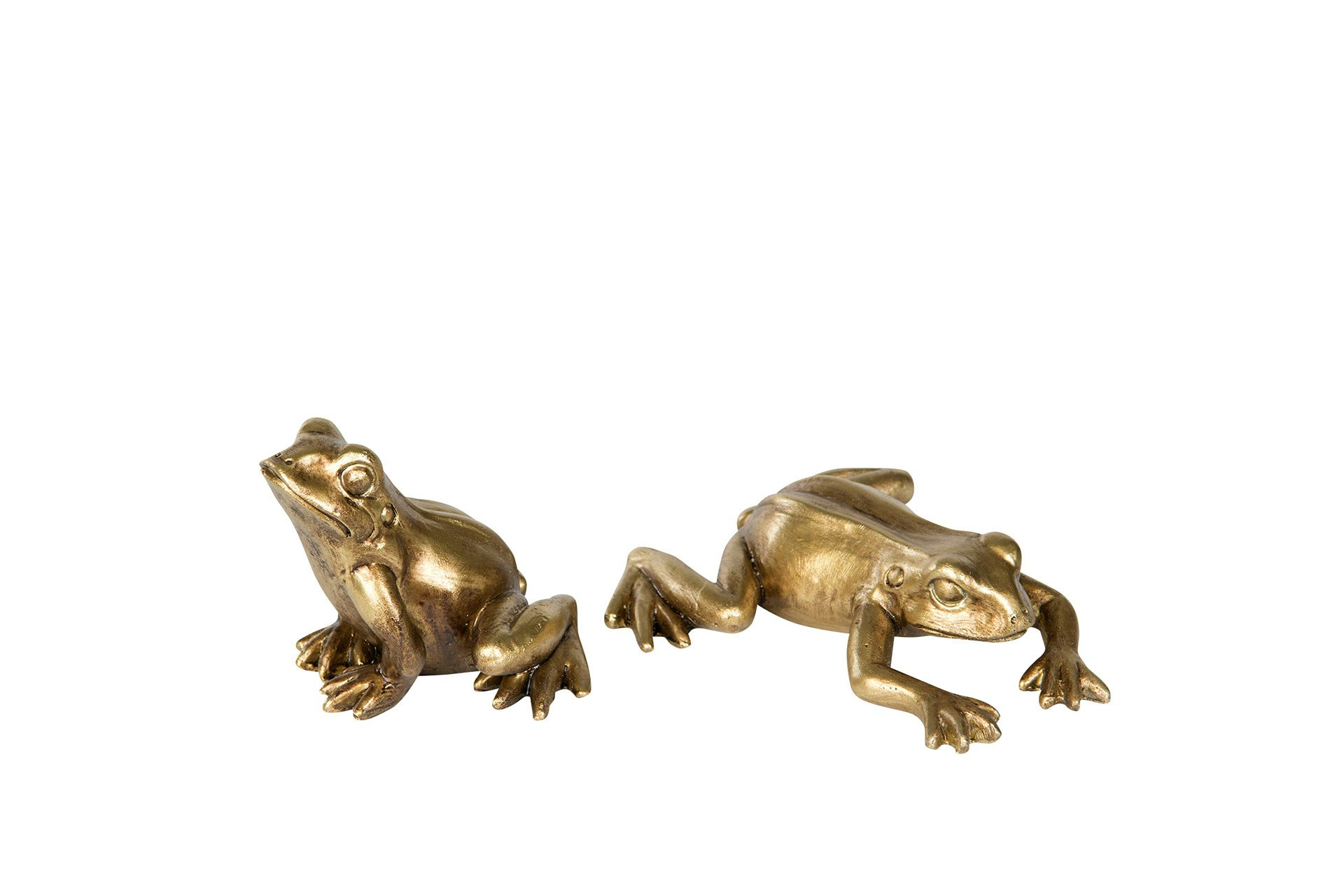 Groda Guld (Finns 2 olika)