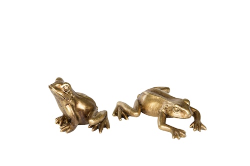 Groda Guld (Finns 2 olika)