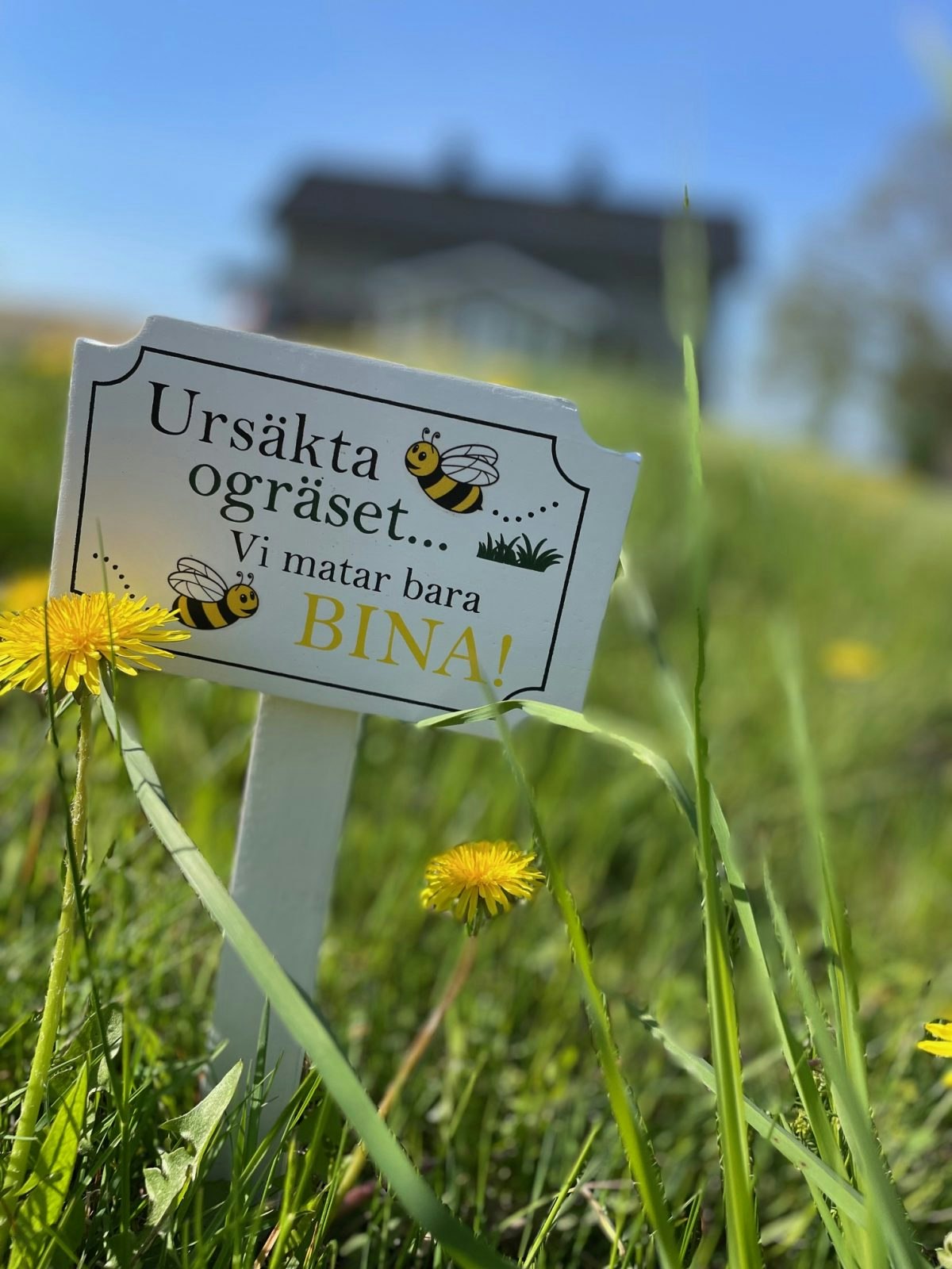 Trädgårdsskylt "Ursäkta ogräset vi matar bara bina"