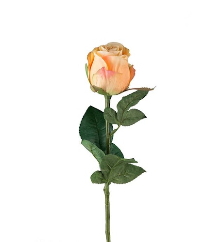 Orange Ros 50cm
